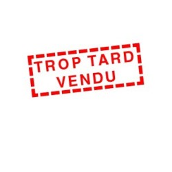 Sherco 300 se-f factory 2022